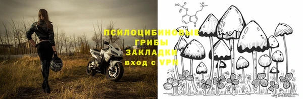 первитин Коряжма