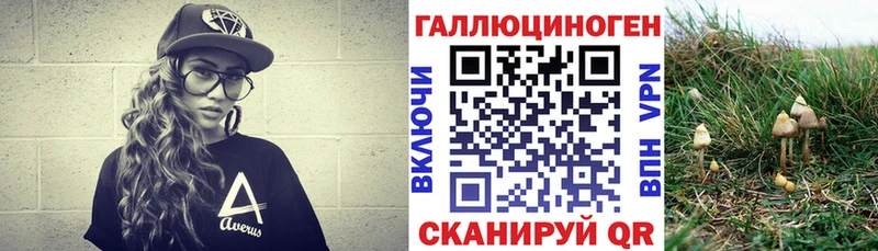 Купить где  Кушва  Псилоцибиновые грибы GOLDEN TEACHER 
