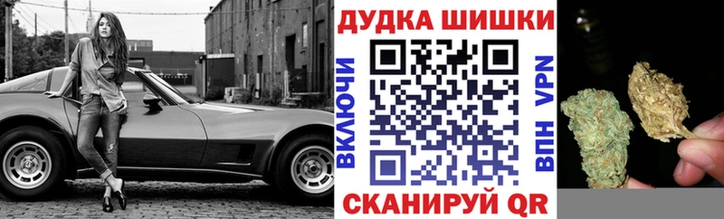 Бошки Шишки конопля  Купить закладки  Кушва 
